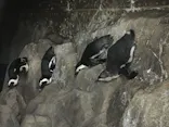 仙台うみの杜水族館に投稿された画像（2021/8/8）