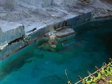 天王寺動物園に投稿された画像（2021/8/8）