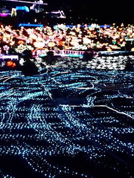 伊豆ぐらんぱる公園に投稿された画像（2021/8/8）