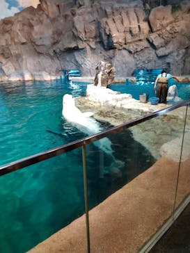 名古屋港水族館に投稿された画像（2021/8/8）