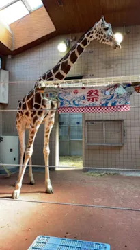天王寺動物園に投稿された画像（2021/8/8）