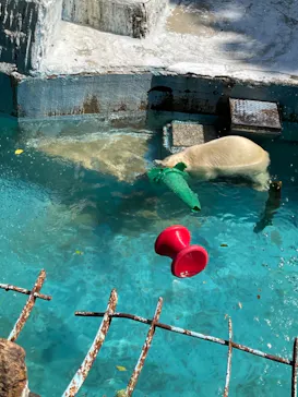 天王寺動物園に投稿された画像（2021/8/8）