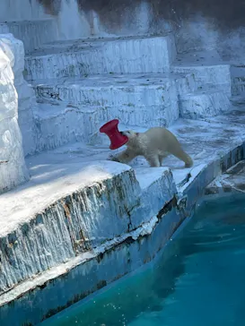 天王寺動物園に投稿された画像（2021/8/8）