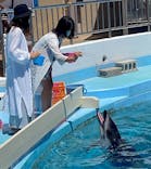 マリンワールド海の中道に投稿された画像（2021/8/9）