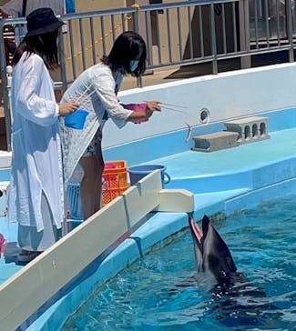 マリンワールド海の中道に投稿された画像（2021/8/8）