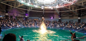 マクセル アクアパーク品川に投稿された画像（2021/8/8）