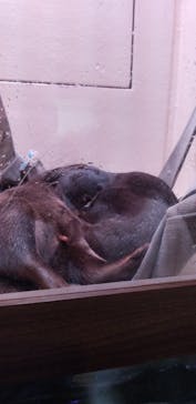 マクセル アクアパーク品川に投稿された画像（2021/8/8）