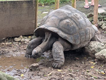 おきなわワールドに投稿された画像（2021/8/8）