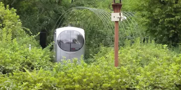 西武園ゆうえんちに投稿された画像（2021/8/8）