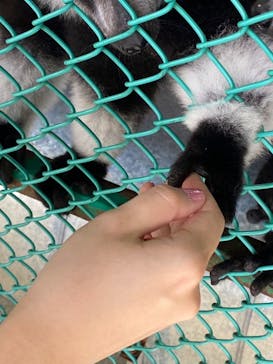 岩手サファリパークに投稿された画像（2021/8/8）