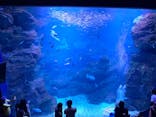 京都水族館に投稿された画像（2021/8/9）