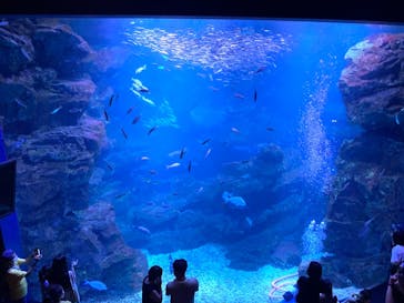 京都水族館に投稿された画像（2021/8/8）