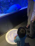 すみだ水族館に投稿された画像（2021/8/9）