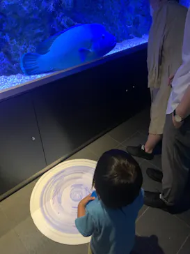 すみだ水族館に投稿された画像（2021/8/9）