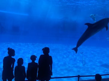 名古屋港水族館に投稿された画像（2021/8/9）