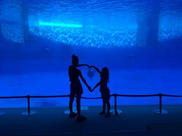 名古屋港水族館に投稿された画像（2021/8/9）