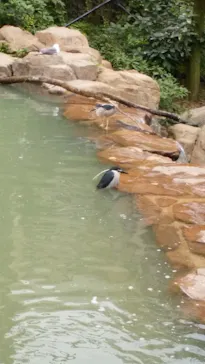 天王寺動物園に投稿された画像（2021/8/9）