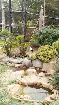 天王寺動物園に投稿された画像（2021/8/9）