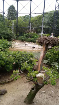 天王寺動物園に投稿された画像（2021/8/9）