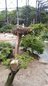 天王寺動物園に投稿された画像（2021/8/9）