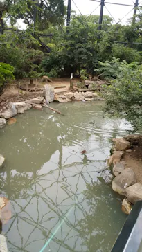 天王寺動物園に投稿された画像（2021/8/9）