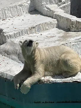 天王寺動物園に投稿された画像（2021/8/9）