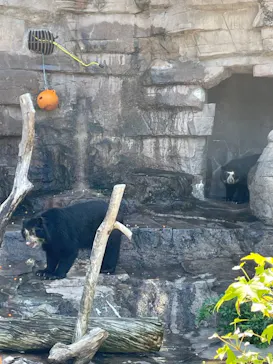 天王寺動物園に投稿された画像（2021/8/9）