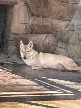 天王寺動物園に投稿された画像（2021/8/9）