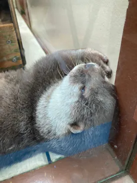 ゼロ距離水族館 伊勢シーパラダイスに投稿された画像（2021/8/9）