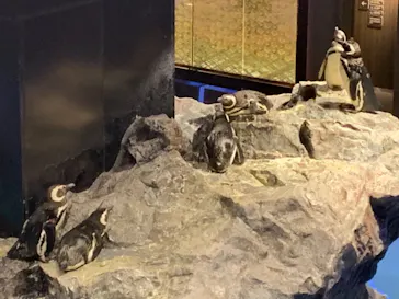 すみだ水族館に投稿された画像（2021/8/9）