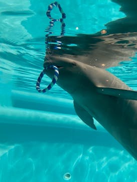 マリンワールド海の中道に投稿された画像（2021/8/9）