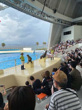 マリンワールド海の中道に投稿された画像（2021/8/9）