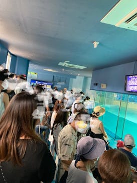 下田海中水族館に投稿された画像（2021/8/9）