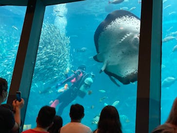 下田海中水族館に投稿された画像（2021/8/9）