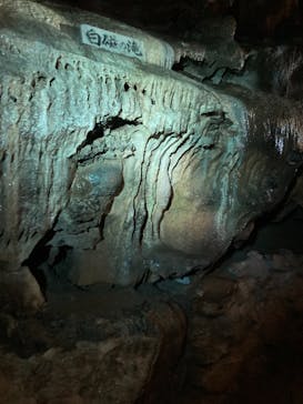 あぶくま洞に投稿された画像（2021/8/9）