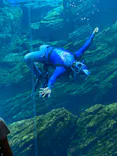仙台うみの杜水族館に投稿された画像（2021/8/9）