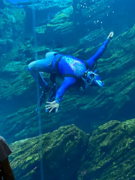 仙台うみの杜水族館に投稿された画像（2021/8/9）