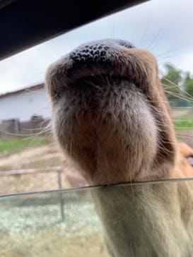 那須サファリパークに投稿された画像（2021/8/9）