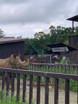 那須サファリパークに投稿された画像（2021/8/9）