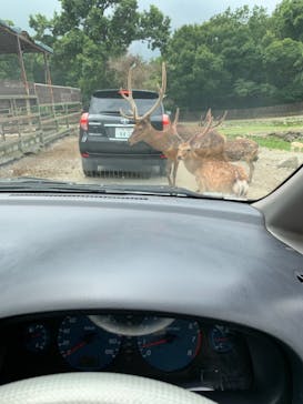 那須サファリパークに投稿された画像（2021/8/9）