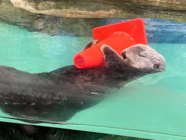 マリンワールド海の中道に投稿された画像（2021/8/9）