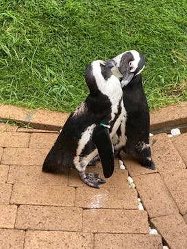 マリンワールド海の中道に投稿された画像（2021/8/9）