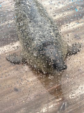 マリンワールド海の中道に投稿された画像（2021/8/9）