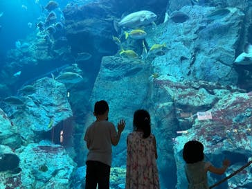 大分マリーンパレス水族館 「うみたまご」に投稿された画像（2021/8/9）