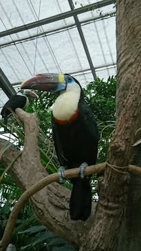 神戸どうぶつ王国に投稿された画像（2021/8/9）