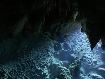 おきなわワールドに投稿された画像（2021/8/9）