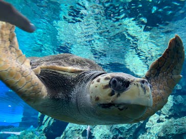 名古屋港水族館に投稿された画像（2021/8/9）