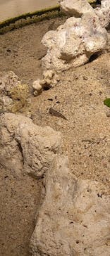 サンシャイン水族館に投稿された画像（2021/8/9）