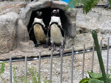 サンシャイン水族館に投稿された画像（2021/8/9）