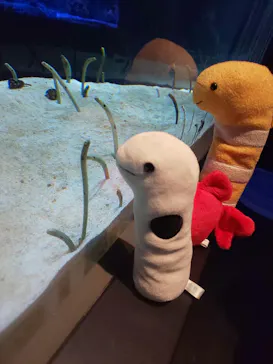 すみだ水族館に投稿された画像（2021/8/9）